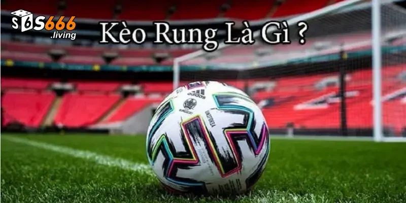 Mẹo chơi kèo rung S666 hiệu quả