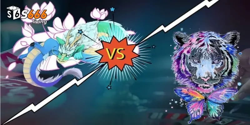 Nên đặt cược ở cửa Rồng và cửa Hổ, tránh đặt cược ở cửa Hòa